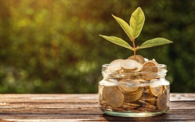 Cómo ahorrar en seguros: Lo que nadie te cuenta